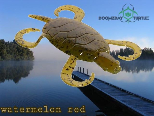 Doomzday Turtlez